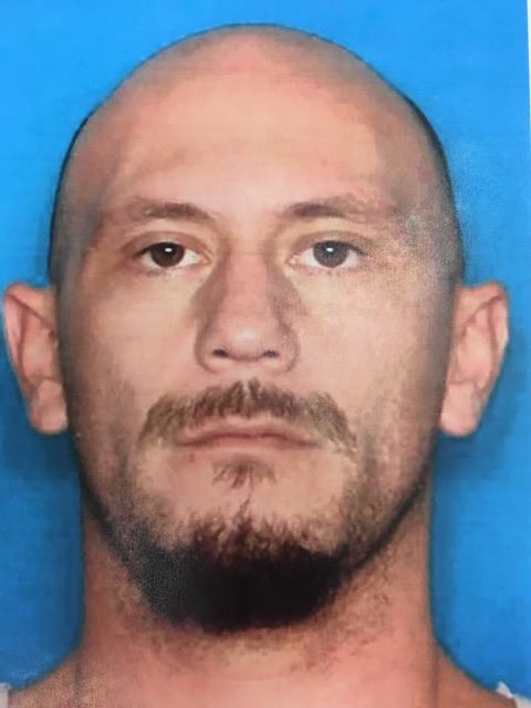 samuel truman osgood